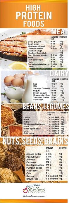 Looking to up your #protein intake? Here's a list of foods that are high in protein! #healthy #fitness High Protein Foods, Muscle Building Foods, Protein Diets, Wellness Blog, Body Fitness, High Protein Recipes, Protein Foods, Healthy Options, Sangria