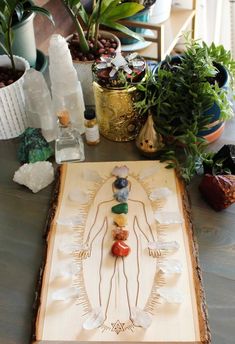 an image of a person on a wooden board surrounded by potted plants and rocks