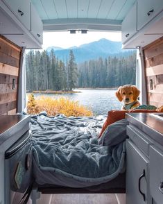 a dog sitting in the back of a camper looking out at a lake and mountains