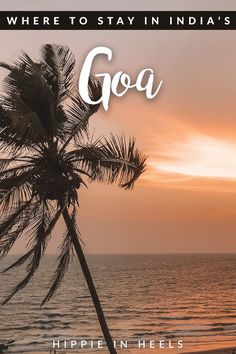 there is a palm tree on the beach with the words goa in front of it