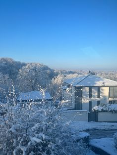 snow covered trees and bushes in front of a house on a clear blue sky day