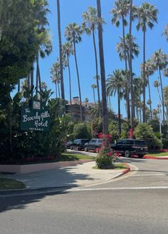 palm trees line the street in front of a hotel