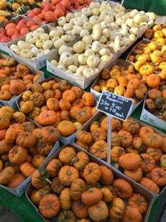 there are many different types of pumpkins for sale