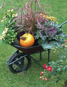 a wheelbarrow filled with lots of flowers and plants