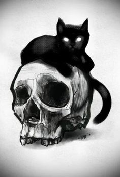 a black cat sitting on top of a skull with its head turned to the side