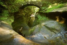 a bridge over a river in the middle of a forest