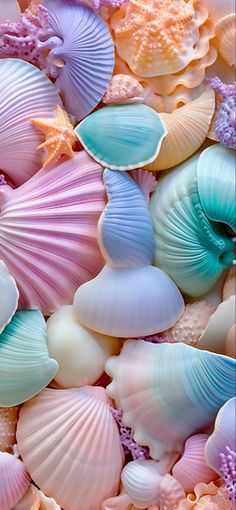 colorful seashells and starfish are grouped together in this image, with the colors changing from blue to pink