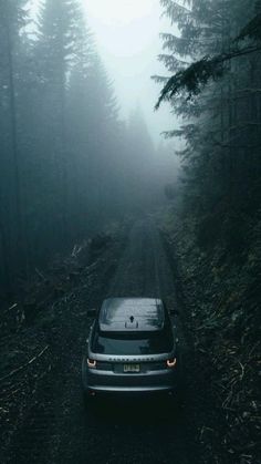 a car driving down a foggy road in the woods