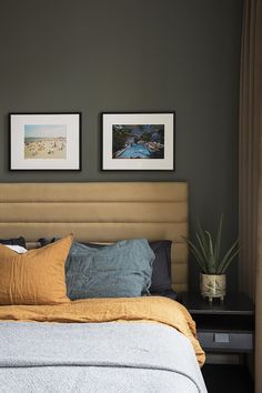 a bed with two pictures on the wall above it and a plant next to it