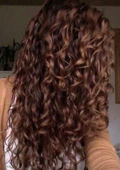 Found on Bing from www.pinterest.com Spring Hair Color, Hair Color Highlights, Trendy Hair Color, Hair Curly, Long Curly Hair, Brunette Hair, Long Curly, Hair Pin