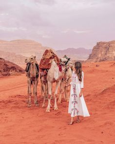 a woman standing next to two camels in the desert