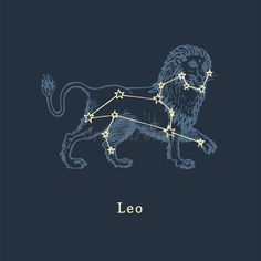 leo zodiac sign with stars on the dark blue background royalty illustration stock images and clippings