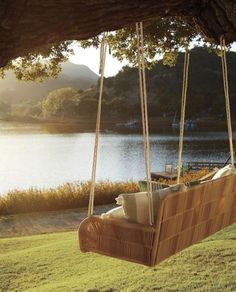 a wooden swing hanging from the side of a tree next to a body of water