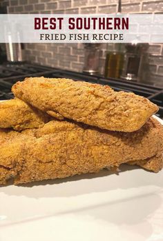 fried fish on a white plate with the words best southern fried fish recipe