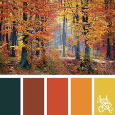 an autumn color palette with trees and leaves