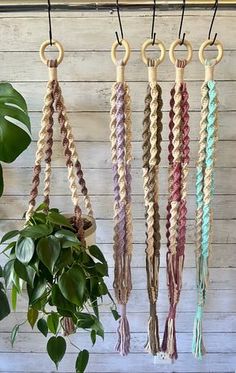 macrame cords hanging from hooks in front of a wooden wall and potted plant