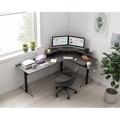 a corner desk with two computer monitors and a laptop on it, next to a potted plant