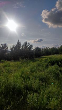 the sun shines brightly over an open field with tall grass and trees in the foreground