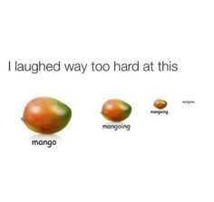 the stages of mangos and how they are different