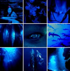 several different images of people swimming in the water with sharks and other creatures around them