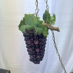 a bunch of grapes hanging from a chain