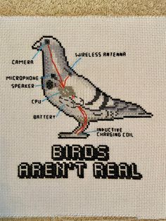 a cross stitched bird with the words birds aren't real on it