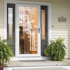 two potted plants sit on the front steps of a house, next to an entry door