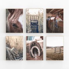 four pictures of horses and other things hanging on the wall