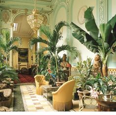 a room filled with lots of plants and furniture next to a chandelier hanging from the ceiling