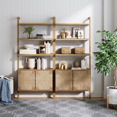 a living room filled with furniture and a potted plant on top of a wooden shelf