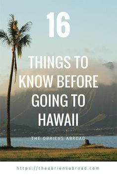 a palm tree with the words 16 things to know before going to hawaii