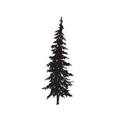 a black and white silhouette of a pine tree on a white background with the words, trees