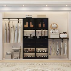 an organized closet with clothes, shoes and other items on shelves next to a rug