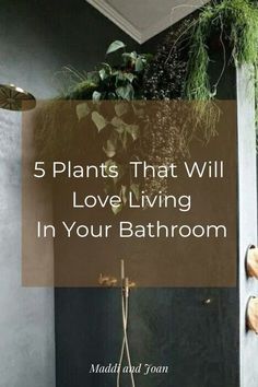 a bathroom with plants hanging on the wall and text that reads 5 plants that will love living in your bathroom