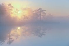 the sun shines brightly through the foggy trees on the water's edge