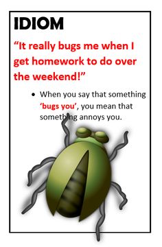 a bug with the caption idiom it really bugs me when i get homework to do over the weekend