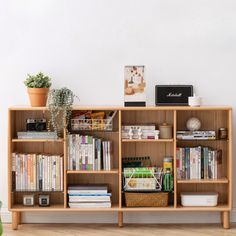 a bookshelf filled with lots of books next to a potted plant on top of a hard wood floor