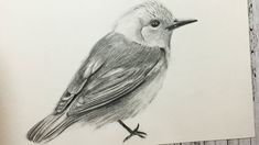 a drawing of a bird sitting on top of a piece of paper