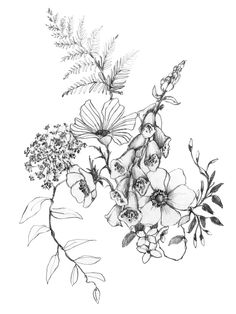 a drawing of flowers and leaves on a white background