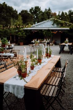 a long table with candles and potted plants on it is set up for an outdoor dinner