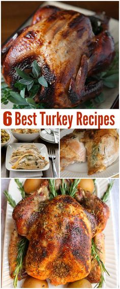 the best turkey recipes for thanksgiving dinner and desserts, with pictures of different types of turkey