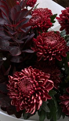 red flowers are in a white vase on a table next to some green leaves and other plants