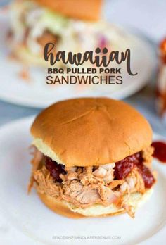 a pulled pork sandwich on a bun with bbq sauce