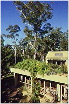 the house is surrounded by tall trees and greenery, with an open roof terrace