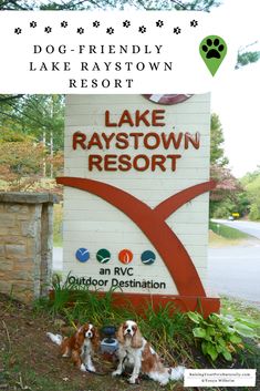 two brown and white dogs sitting in front of a sign for lake raystown resort