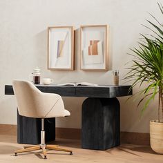 a desk with a chair, potted plant and two framed pictures on the wall