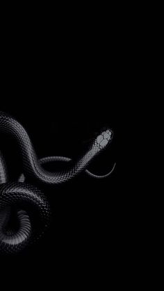 a black and white photo of a snake in the dark with its tail curled up