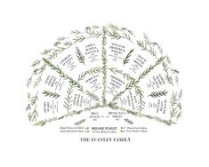 the stanley family tree is shown in this hand - drawn illustration, which shows how many families