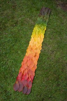 a long rainbow colored piece of grass on the ground with text that reads, 2 279 likes love waits andy goldsworthy via