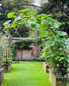 an outdoor garden with lots of plants and flowers